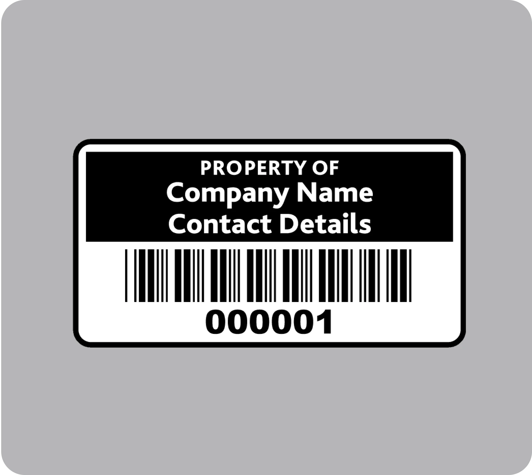 Choose The Box Lane for Custom Business Labels | The Box Lane